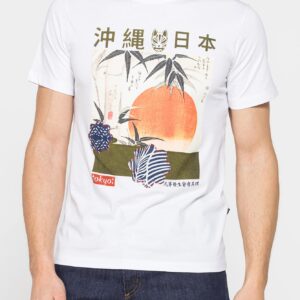 T-SHIRT DI COTONE CON VARIE STAMPE E FANTASIE